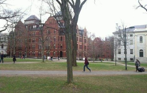 Universitatea Harvard, acuzata de discriminare rasiala