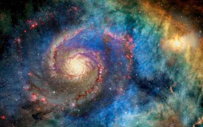 Primăvara imprevizibilă a...