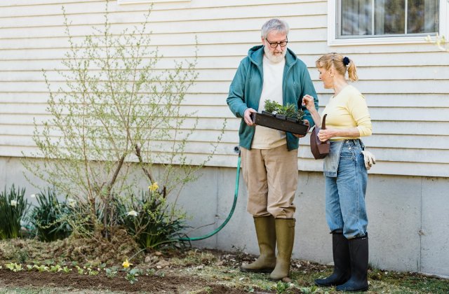 Cum să te bucuri de primăvara aceasta: 4 activități pe care le poți face