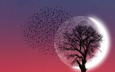 Luna Noua în Berbec: Ritual...