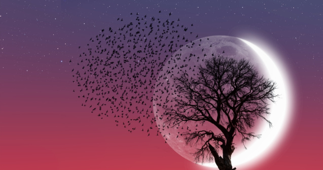 Luna Noua în Berbec: Ritual de vindecare a sufletelor rănite