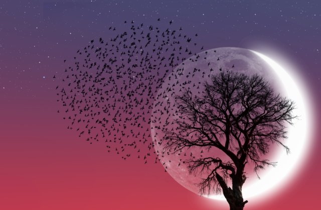 Luna Noua &icirc;n Berbec: Ritual de vindecare a sufletelor rănite