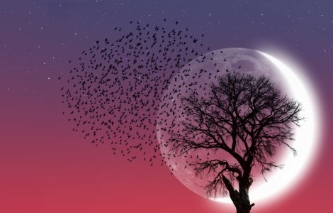 Luna Noua în Berbec: Ritual de vindecare a sufletelor rănite