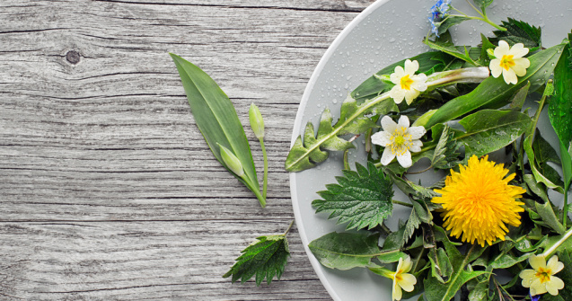 Cum să îți detoxifiezi organismul în mod natural primăvara