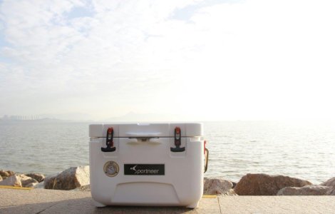 Cum depozitezi corect alimentele în lada frigorifică – 3 secrete