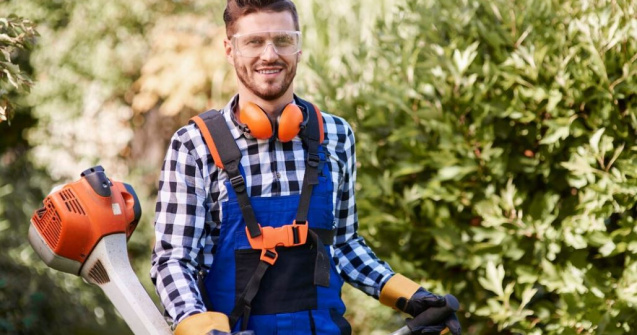 Ghidul începătorului pentru utilizarea motocositoarelor