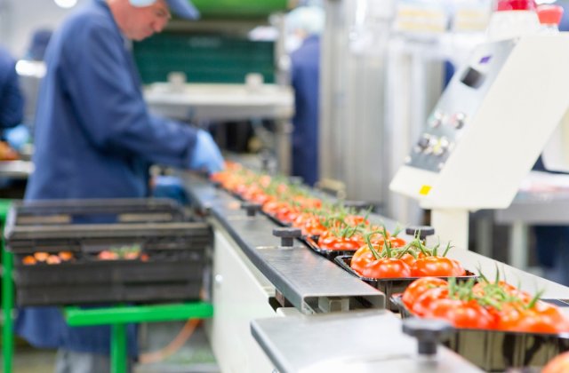 5 metode prin care poți să susții producția de alimente &icirc;ntr-un mod sustenabil