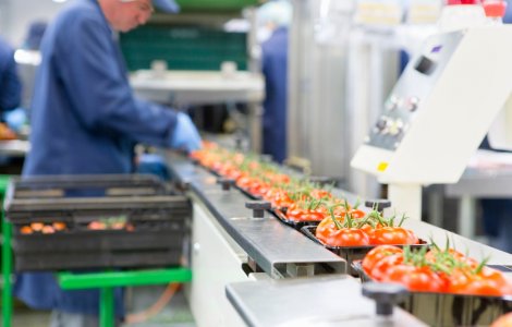 5 metode prin care poți să susții producția de alimente într-un mod sustenabil