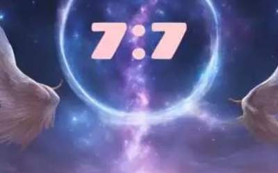 PORTALUL MAGIC 7:7 ADUCE...