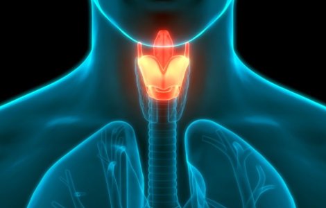 Cancerul laringian: de ce apare, cum se manifestă și cum se poate preveni