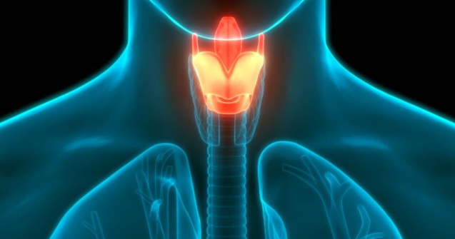 Cancerul laringian: de ce apare, cum se manifestă și cum se poate preveni