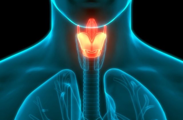 Cancerul laringian: de ce apare, cum se manifestă și cum se poate preveni