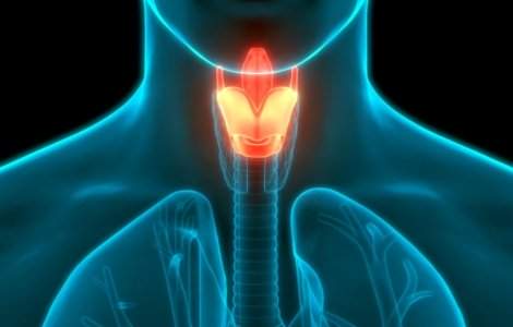 Cancerul laringian: de ce apare, cum se manifestă și cum se poate preveni