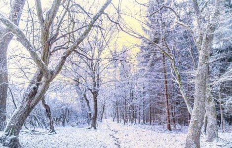  Top  GER si NINSORI in urmatoarele doua saptamani! Prognoza meteo pana pe 7 decembrie