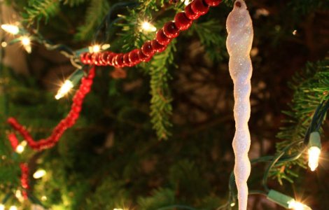 Brasov: Brad cu varsta de 140 de ani, instalat in Piata Sfatului