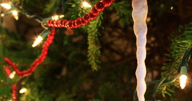 Brasov: Brad cu varsta de 140 de ani, instalat in Piata Sfatului