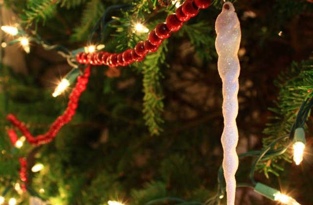 Brasov: Brad cu varsta de 140 de ani, instalat in Piata Sfatului