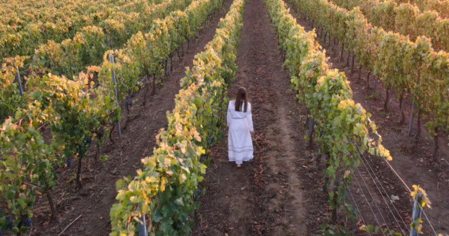 Ce se întâmplă când Domeniul Bogdan întâlnește Festivalul de Film Anonimul?