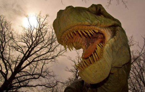 O noua specie de dinozaur, identificata de un cercetator american