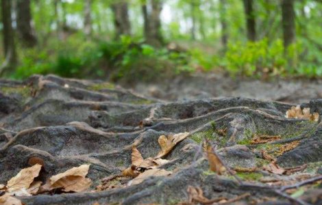  Top  TOP 8 produse folosite zilnic care iti pot SALVA viata