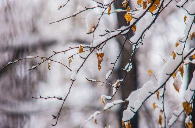 Cod galben de NINSORI si VANT in aproape toata tara. Harta judetelor afectate