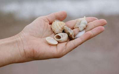 Descoperă cum alegerile tale...