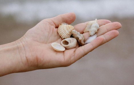 Află cum alegerile tale pot deschide uși neașteptate spre noi oportunități!