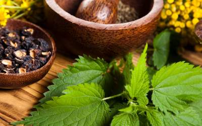 15 Remedii naturale...