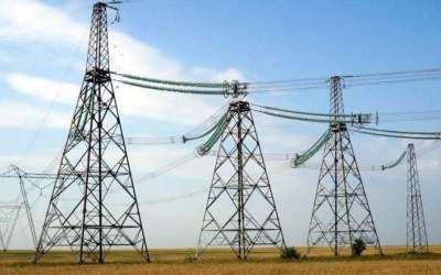 Scăderea alarmantă a...