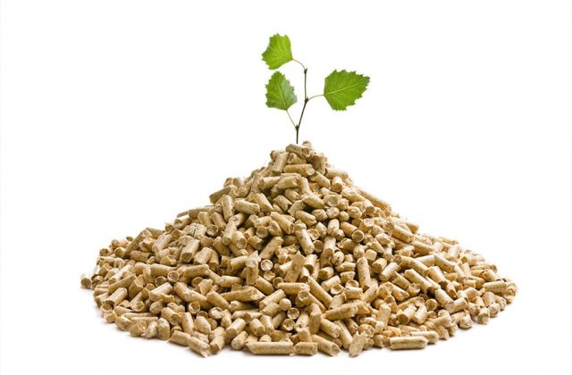 Nu cumpăra o centrală pe peleți p&acirc;nă nu citești acest ghid esențial!