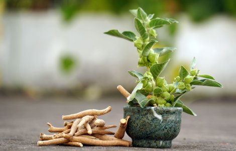 Ce este ashwagandha și ce beneficii oferă?