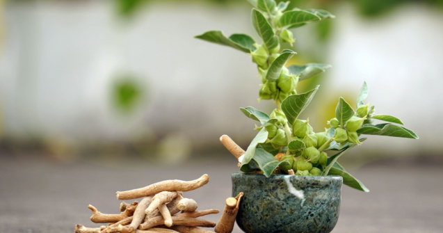 Ce este ashwagandha și ce beneficii oferă?