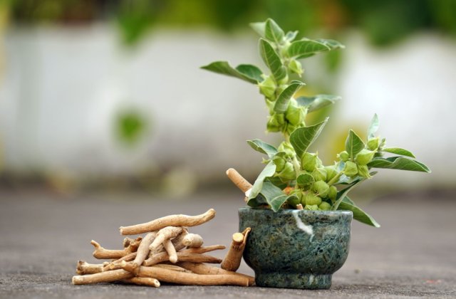 Ce este ashwagandha și ce beneficii oferă?