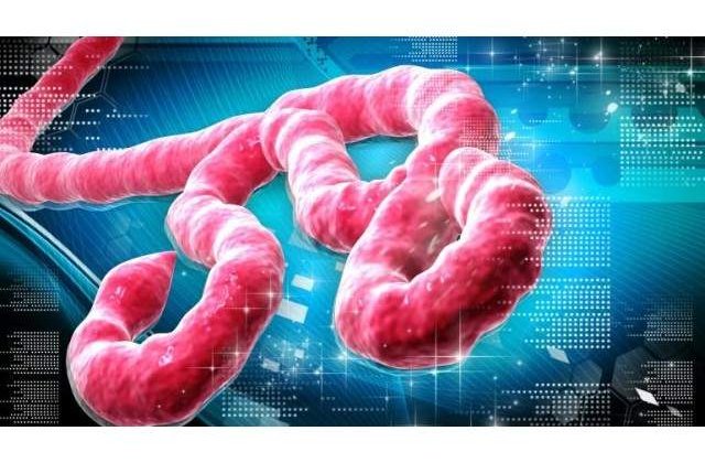 OMS: Bilantul epidemiei de Ebola a ajuns la aproape 7.000 de morti