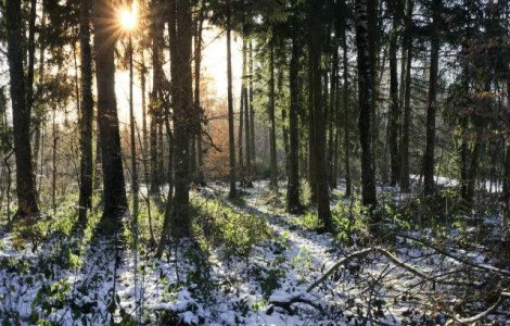  Top  Prognoza meteo: NINSORI in primele doua saptamani din decembrie