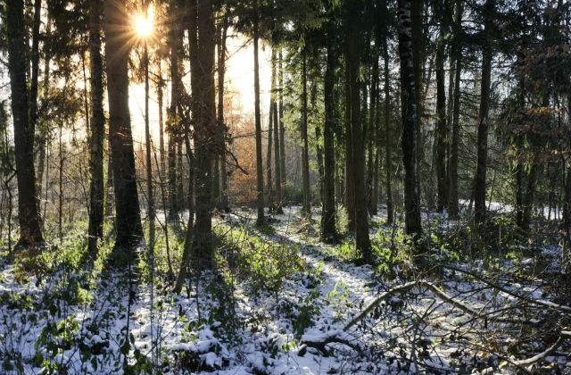 Prognoza meteo: NINSORI in primele doua saptamani din decembrie