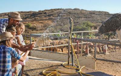 Cum să alegi pompa de apă...