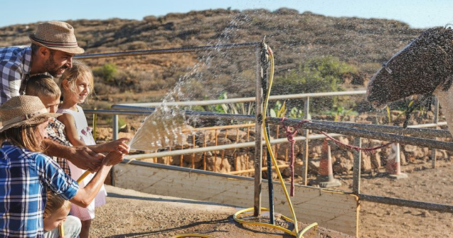 Cum să alegi pompa de apă potrivită pentru nevoile tale