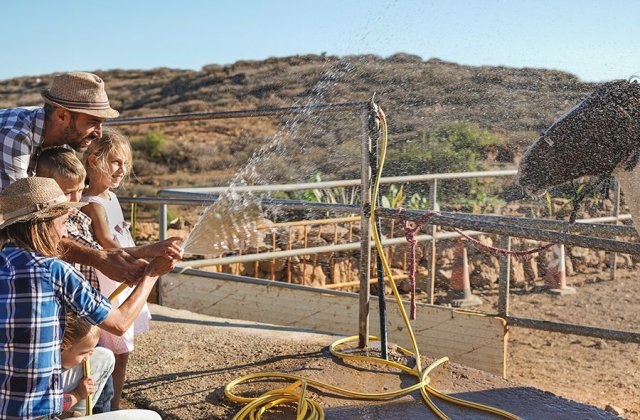 Cum să alegi pompa de apă potrivită pentru nevoile tale