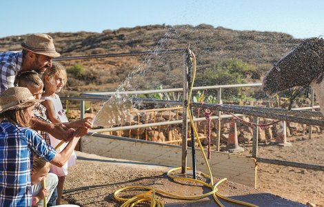 Cum să alegi pompa de apă potrivită pentru nevoile tale
