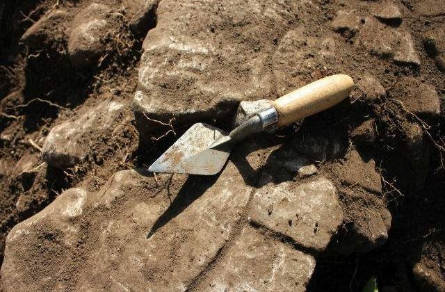 Studiu: Cel mai vechi desen uman este un zigzag zgariat pe o scoica