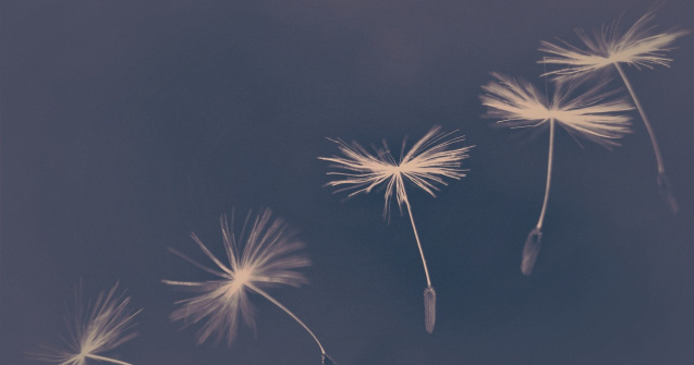 Descoperă Secretul Legii Atracției: Cum să Îți Îndeplinești Dorințele!