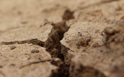 Guvernul ia măsuri...