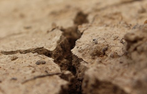 Guvernul ia măsuri surprinzătoare pentru a salva fermierii loviți de secetă și criza geopolitică