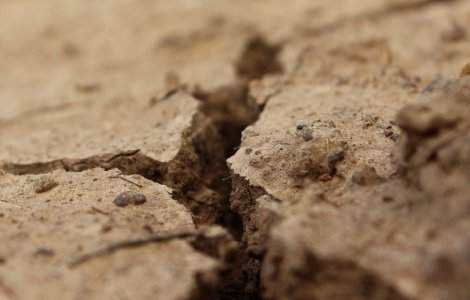 Măsuri surprinzătoare ale Guvernului pentru fermierii loviți de secetă și criza geopolitică