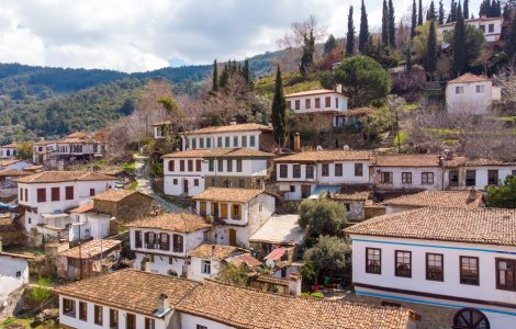 Descoperă Drumul Efeilor la İzmir - Traseul care Uimește Turcia