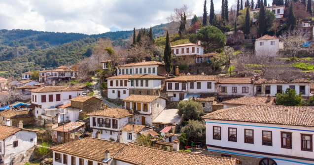 Descoperă Drumul Efeilor la İzmir - Traseul care Uimește Turcia