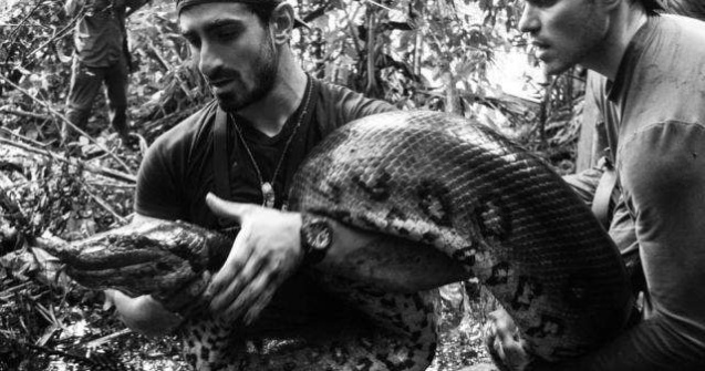 Paul Rosolie nu a mers pana la capat in cadrul emisiunii "Eaten Alive"
