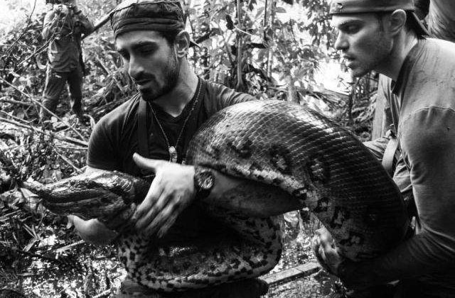 Paul Rosolie nu a mers pana la capat in cadrul emisiunii "Eaten Alive"