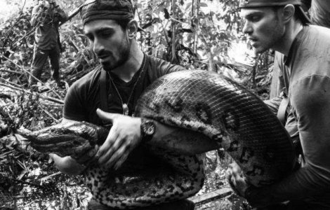 Paul Rosolie nu a mers pana la capat in cadrul emisiunii "Eaten Alive"